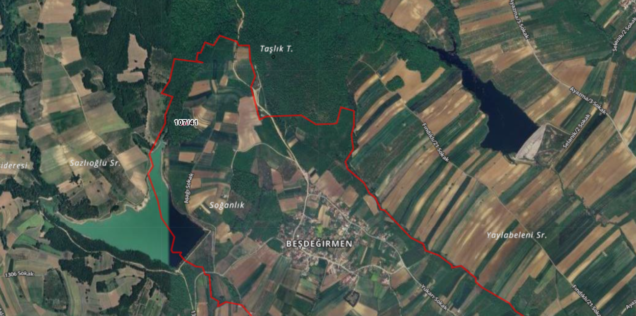 SAKARYA SÖĞÜTLÜ BEŞDEĞİRMEN KÖYÜNDE 297 M² TARLAMIZ SATILIKTIR - SAKARYA SÖĞÜTLÜ fotoğraf 3